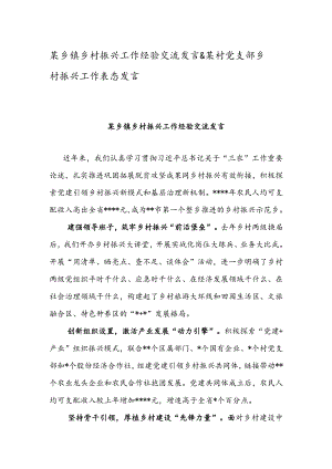 某乡镇乡村振兴工作经验交流发言&某村党支部乡村振兴工作表态发言.docx
