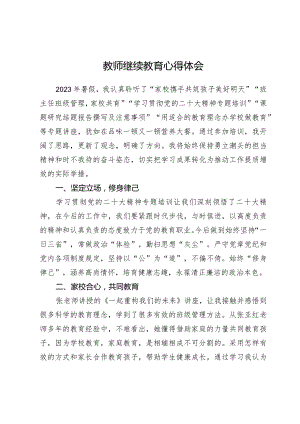 教师继续教育心得体会.docx