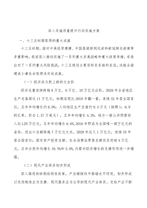 深入实施质量提升行动实施方案.docx