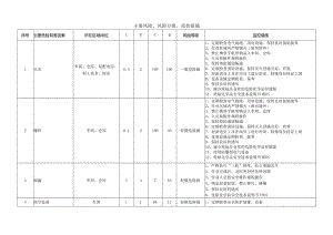 某公司主要风险、风险分级、监控措施.docx