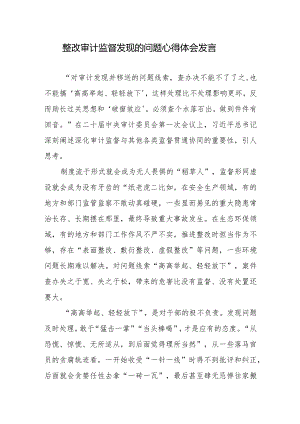 整改审计监督发现的问题心得体会发言.docx