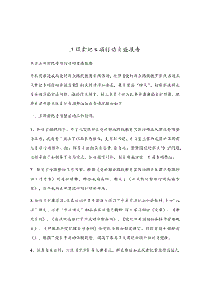 正风肃纪专项行动自查报告.docx