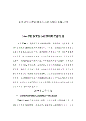 某某公司年度行政工作小结与明年工作计划.docx