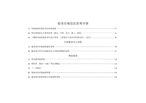 某项目规范化管理手册.docx