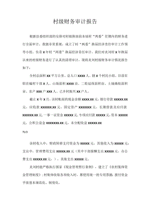 村级财务审计报告.docx