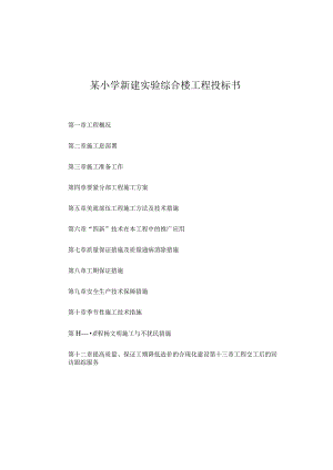 某小学新建实验综合楼工程投标书.docx