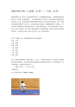 柔道考级大纲.docx