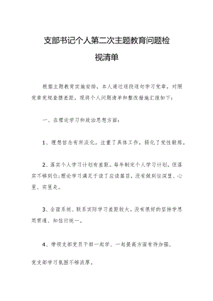 支部书记个人第二次主题教育问题检视清单.docx
