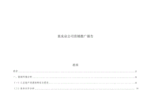某实业公司营销推广报告.docx