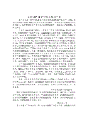 某某知名IT企业员工规则手册.docx
