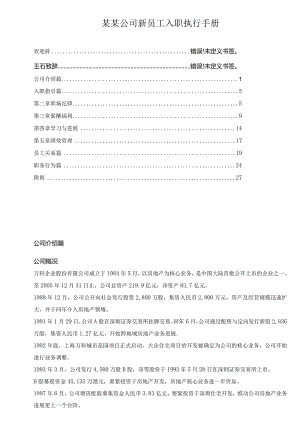 某某公司新员工入职执行手册.docx