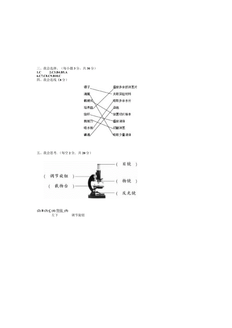 最新教科版小学六年级科学上册第一单元《微小世界》高频考点培优检测卷(附答案).docx_第3页