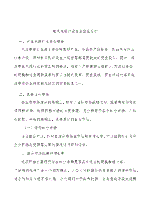 电线电缆行业资金壁垒分析.docx