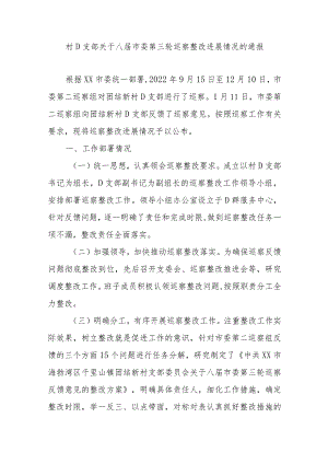 村D支部关于八届市委第三轮巡察整改进展情况的通报.docx