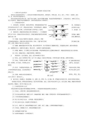 游泳教程.docx