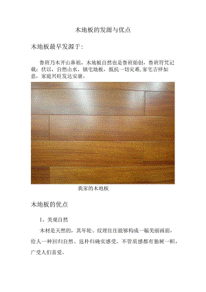 木地板的发源与优点.docx
