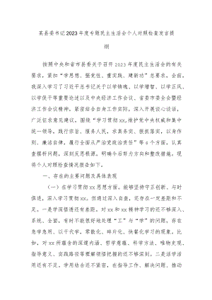 某县委书记2023年度专题民主生活会个人对照检查发言提纲.docx
