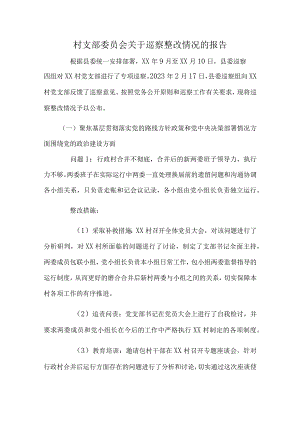 村支部委员会关于巡察整改情况的报告.docx
