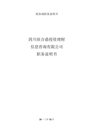 某咨询职务说明书.docx