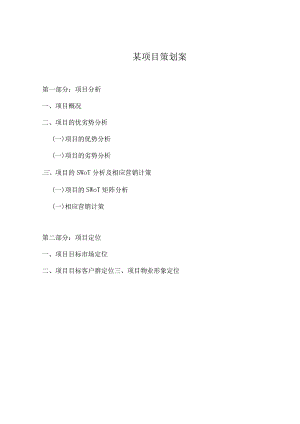 某项目策划案.docx