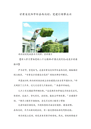 甘肃省庆阳市环县西沟村：党建引领事业兴.docx