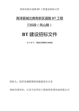 某商务新区道路BT工程建设招标文件.docx
