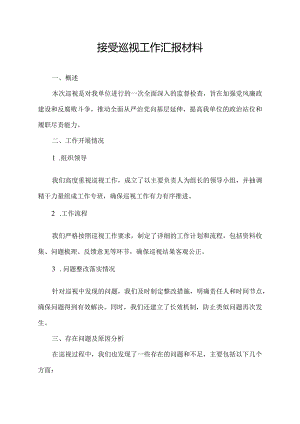 接受巡视工作汇报材料.docx