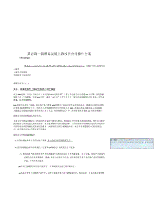 某咨询—新世界发展上海投资公司操作全案.docx