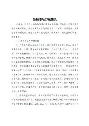 旅拍市场野蛮生长.docx
