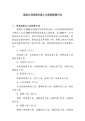 某某公司某某年度人力资源管理计划.docx