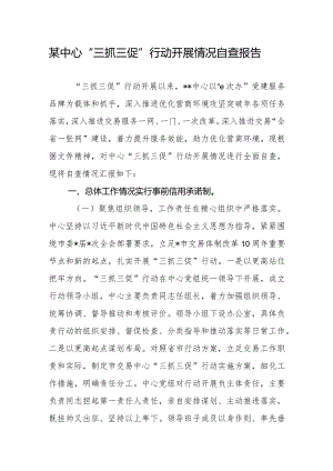 某中心2023年度“三抓三促”行动开展情况自查报告.docx
