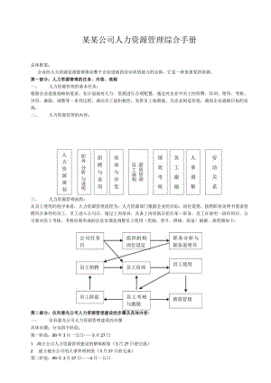 某某公司人力资源管理综合手册.docx