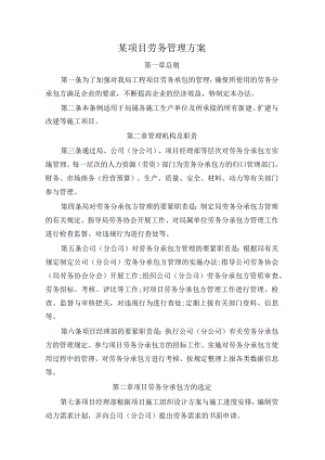 某项目劳务管理方案.docx