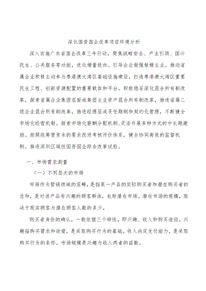 深化国资国企改革项目环境分析.docx