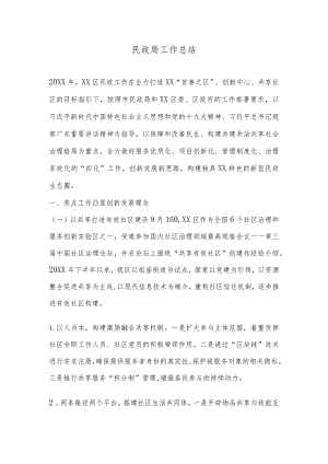 民政局工作总结4.docx