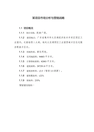 某项目市场分析与营销战略.docx