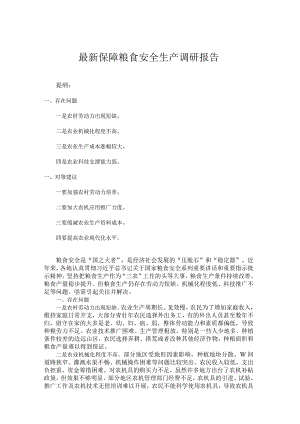 最新保障粮食安全生产调研报告.docx