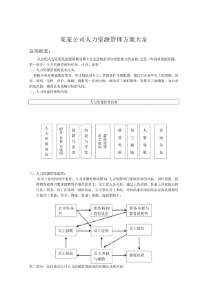 某某公司人力资源管理方案大全.docx