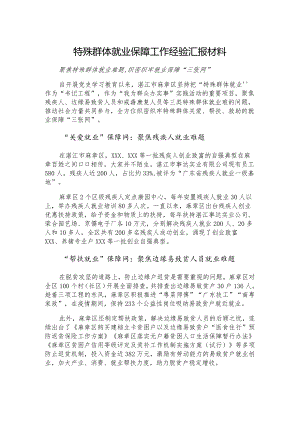 特殊群体就业保障工作经验汇报材料.docx