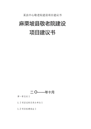 某县中心敬老院建设项目建议书.docx