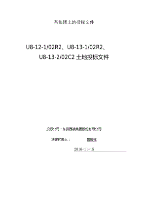 某集团土地投标文件.docx
