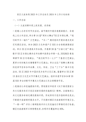 某区文旅体局2023年工作总结及2024年工作计划安排.docx