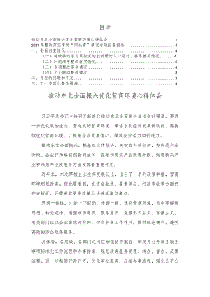 推动东北全面振兴优化营商环境心得体会、2023年整改落实情况“回头看”情况专项自查报告（2篇）.docx