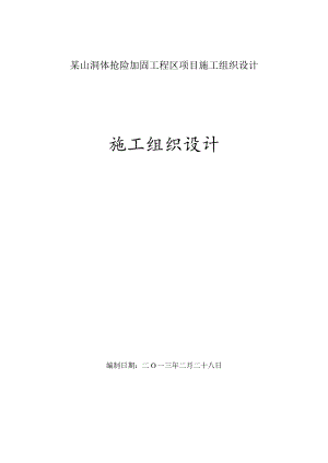 某山洞体抢险加固工程区项目施工组织设计.docx