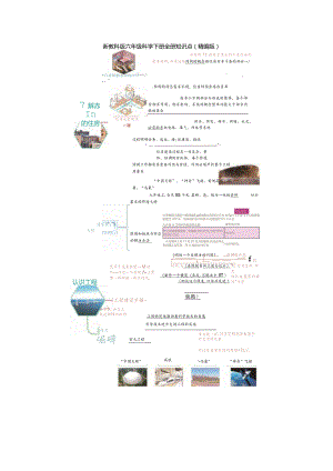 新教科版六年级科学下册全册知识点.docx