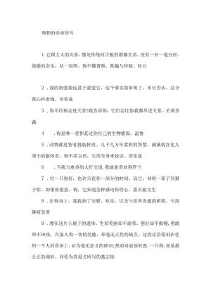 狗狗的语录短句.docx