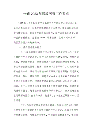 某某市2023年医政医管工作要点.docx