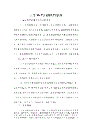 公司2024年党的建设工作要点.docx