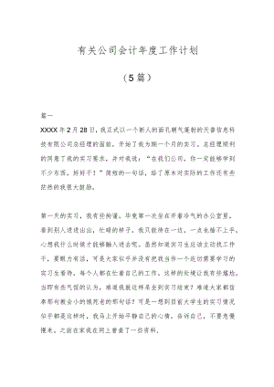 (5篇)有关公司会计年度工作计划.docx