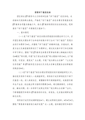 团委四下基层总结.docx